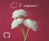 С 8 марта!